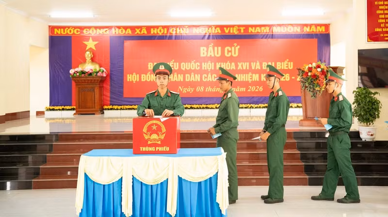 cu-tri23b.jpg