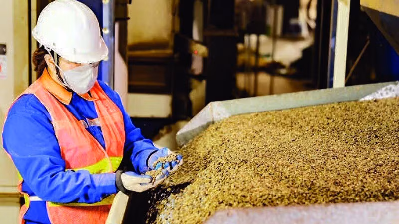 Contrôle de la qualité du café d’exportation à la Société à Responsabilité Limitée à Associé Unique Import‑Export 2‑9 Dak Lak. Photo : nhandan.vn