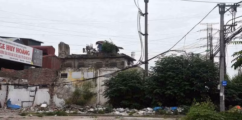 tam-trinh-18.jpg