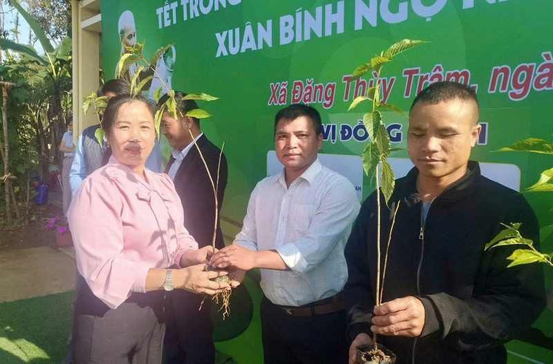 Les autorités de la commune de Dang Thuy Tram ont offert des jeunes plants de fleurs de mai anh đào aux habitants. Photo : baovanhoa.vn