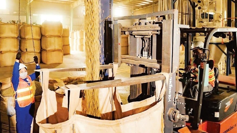 Production de café à la société Simexco DakLak. Photo: nhandan.vn