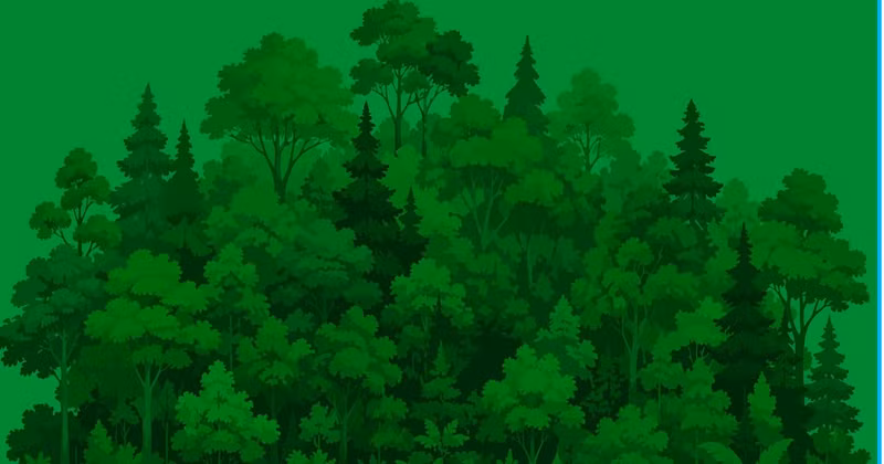 Pour une civilisation écologique, un Vietnam vert et un océan pacifique et durable