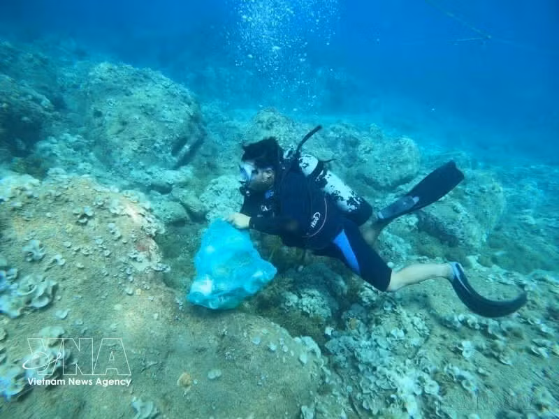 Collecte de déchets plastiques sous-marins dans le quartier de Quy Nhon Dong, province de Gia Lai. Photo: VNA