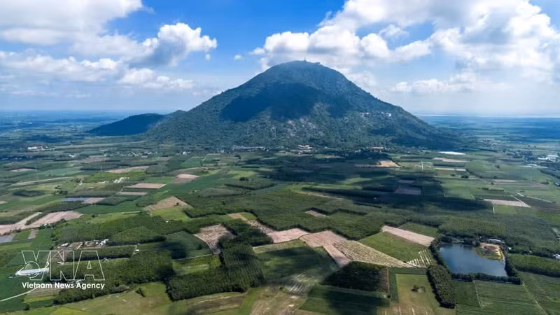 Le mont Ba Den abrite également un écosystème forestier naturel de grande valeur écologique. Photo: VNA