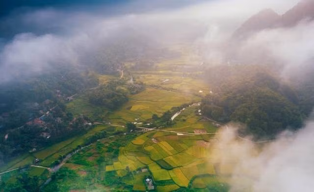 La saison dorée « coule » à travers les vallées, illuminant tout un coin de ciel. Photo: vnexpress.net