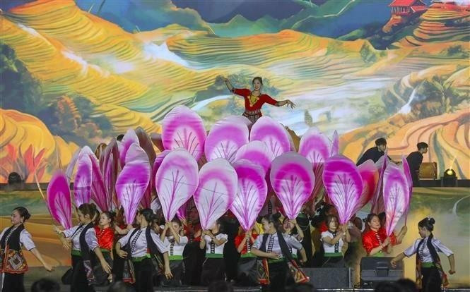 Programme artistique ouvrant la Fête des fleurs de bauhinie 2025. Photo : VNA. 