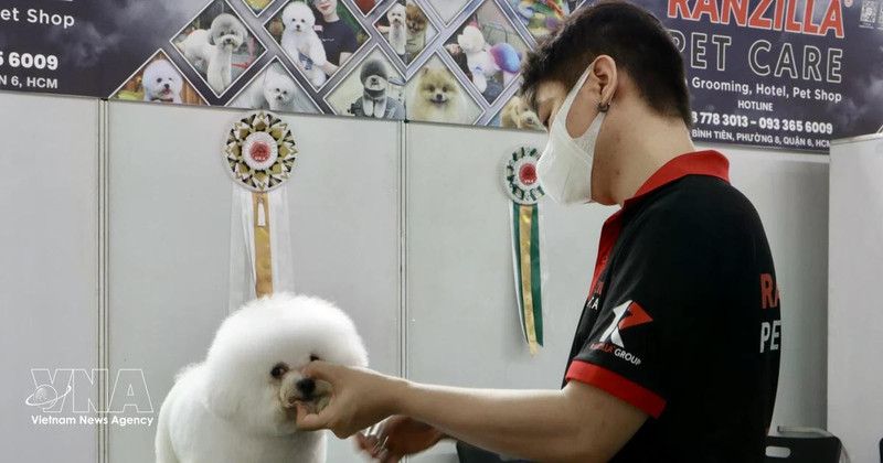 Le Vietnam s’impose comme une destination stratégique pour les exportateurs sud-coréens d’aliments et d’accessoires pour animaux de compagnie. Photo: VNA