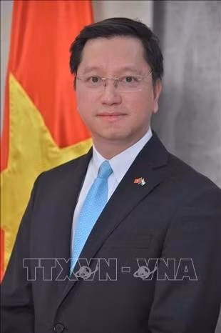 L'ambassadeur du Vietnam en Inde, également accrédité au Bhoutan et au Népal, Nguyen Thanh Hai. Photo : VNA.
