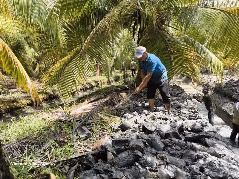 L’un des principaux acquis réside dans le passage d’une logique de dépendance aux aides d’urgence après les catastrophes à une gestion proactive des risques à l’échelle des exploitations et des chaînes de valeur. Photo : VNA.