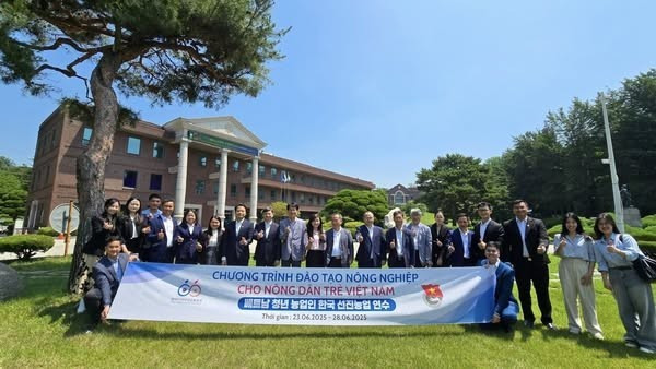 Une délégation du Comité central de l’Union de la jeunesse communiste Ho Chi Minh a participé au programme de formation agricole avancée et à l’échange de jeunes ruraux Vietnam-R. de Corée.Photo : Département des Affaires internationales du Comité central de l’Union de la jeunesse communiste Ho Chi Minh 