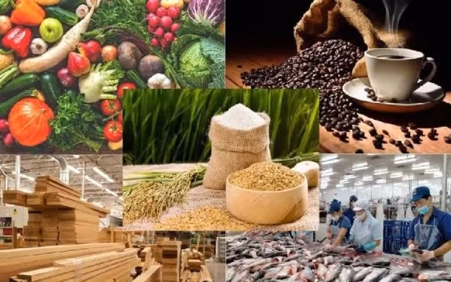 Photo d'illustration : VTV.