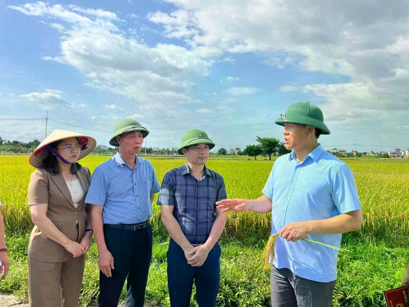  Le directeur du Département de l’Agriculture et de l’Environnement de Hanoï, Nguyen Xuan Dai, inspecte la production en 2025. Photo: kinhtedothi.vn