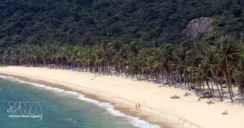 La superbe plage de sable blanc de l'île de Cu Lao Cham (ville de Da Nang) attire les touristes. Photo : VNA