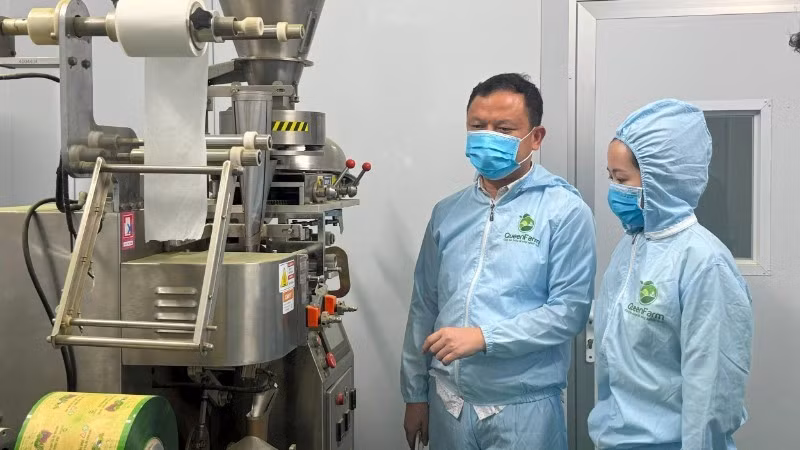 La chaîne d’emballage de thé matcha de Tran Van Tan. Photo : nhandan.vn