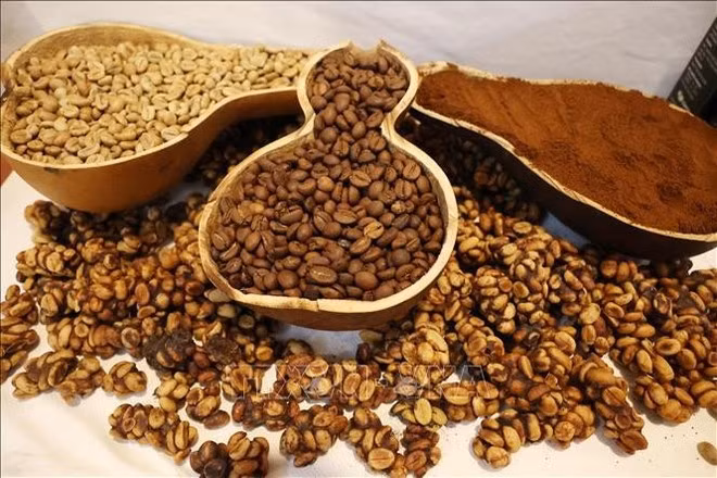 Photo d'illustration: VNA