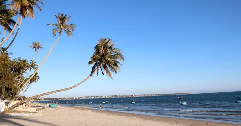 La station balnéaire de Mui Ne, dans la province de Lam Dong, confirme son statut de destination incontournable pour le kitesurf en Asie. Photo: VNA