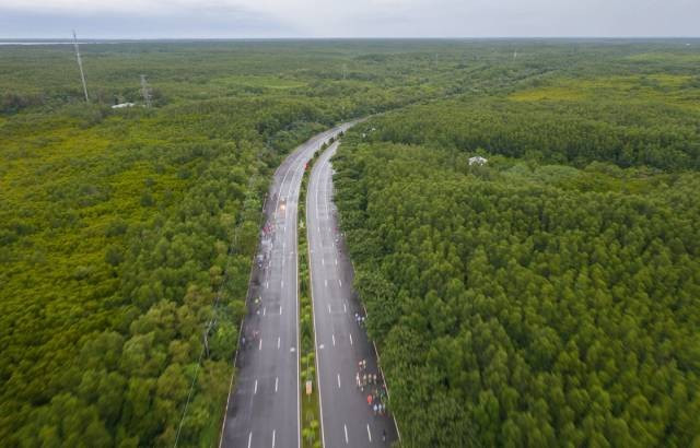 La route de Rung Sac traverse la forêt de Can Gio, septembre 2025. Photo : vnexpress.net