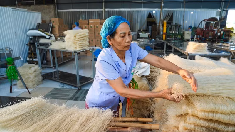 La coopérative de vermicelles de riz Hung Lo dans la province de Phu Tho est très active pour honorer les commandes de fin d’année. Photo : nhandan.vn