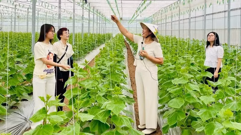 Les visiteurs découvrent la ferme Thanh Nga Luxury. (Photo : TRANG ANH)