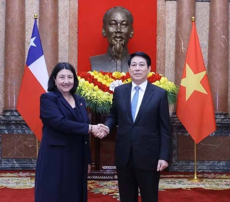 Le président vietnamien Luong Cuong reçoit l’ambassadrice de la République du Chili Nasly Isabel Bernal Prado lors de la présentation de ses lettres de créance, le 12 décembre 2025. (Photo : fournie par l’Ambassade du Chili au Vietnam)