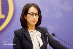 La porte-parole du ministère des Affaires étrangères, Le Thi Thu Hang. Photo : VNA 