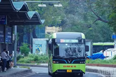 De nombreuses lignes d’autobus électriques modernes ont été mises en service, remplaçant progressivement les véhicules fonctionnant aux énergies fossiles. Photo : nhandan.vn