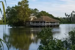 Le sanctuaire flottant Phu Chau constitue le principal repère culturel de l'espace patrimonial, culturel et touristique de la rivière Vam Thuat. (Photo : Comité d'organisation du colloque)