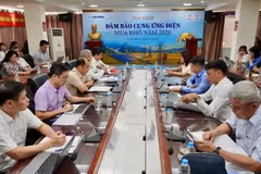 Vue d’ensemble de la table ronde. Photo: nhandan.vn