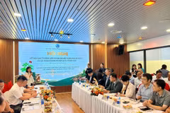 La vue générale de la Conférence de mise en relation des entreprises de Da Nang et des partenaires internationaux 2026. Photo: VKBIA