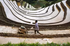 [Photos] Les rizières en terrasses de Mu Cang Chai. Photo: vnexpress.net