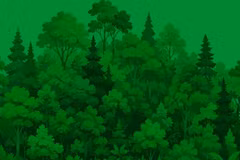 Pour une civilisation écologique, un Vietnam vert et un océan pacifique et durable