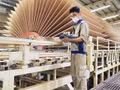 Les exportations de bois et de produits dérivés ont atteint 8,54 milliards de dollars au premier semestre, soit une progression de 4,4 % sur un an. Photo : VNA.