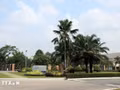 La zone industrielle d'Intel, un investisseur majeur du parc technologique de Hô Chi Minh-Ville. Photo : VNA.