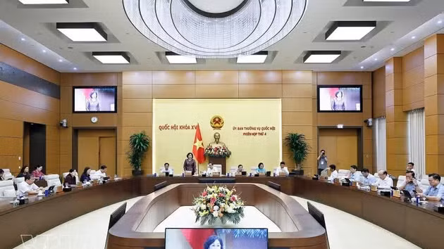 La vice-présidente de l'Assemblée nationale, Nguyen Thi Hong, s'exprime lors de la réunion. Photo : VNA.