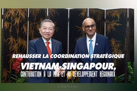 Rehausser la coordination stratégique Vietnam-Singapour, contribution à la paix et au développement régionaux