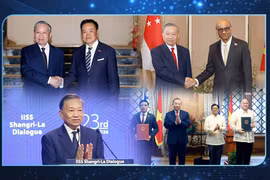 Nouvelles perspectives de coopération entre le Vietnam et les pays d'Asie du Sud-Est