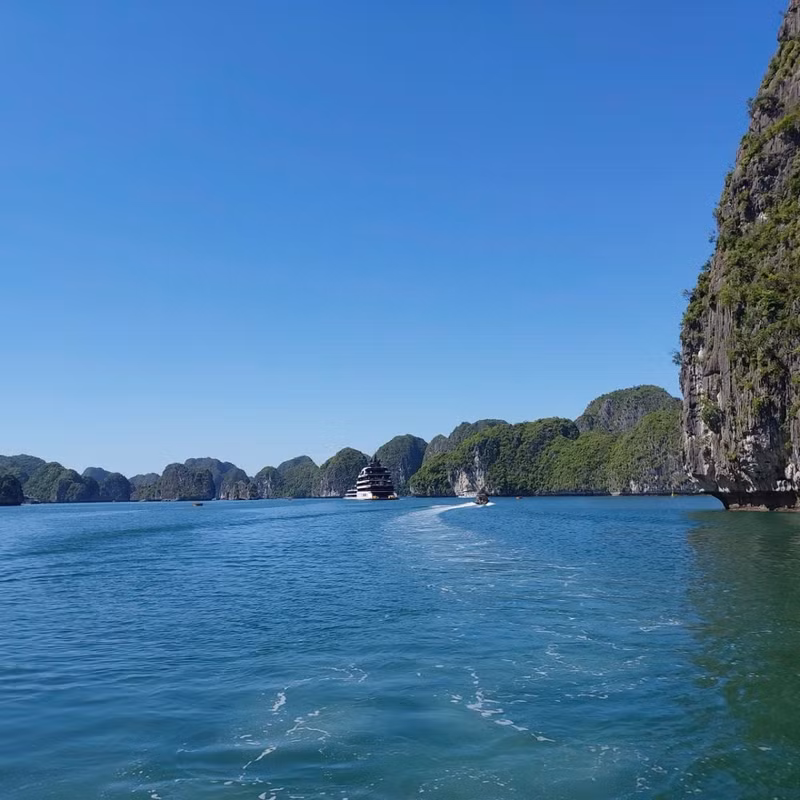 Le parc national de Cat Ba est une réserve naturelle spéciale du Vietnam, située dans la ville de Hai Phong, sur l'île de Cat Ba, la plus grande île de l'archipel du même nom. Photo : Nguyen Tong/nongnghiephuuco.vn