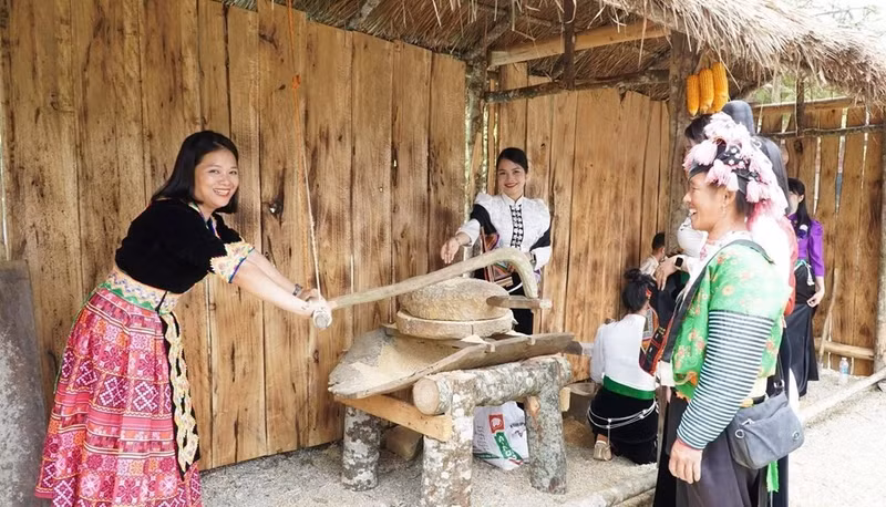 Depuis le marché, les visiteurs peuvent poursuivre leur découverte vers le complexe touristique Pha Din Top, admirer les chaînes de montagnes majestueuses et faire une halte dans les paisibles plantations de thé verdoyantes de Binh Thuan.