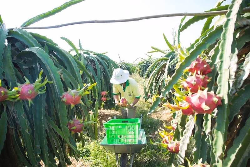 Dans la lutte contre la contrefaçon, les nouvelles technologies jouent un rôle déterminant. Photo : vnbusiness.vn
