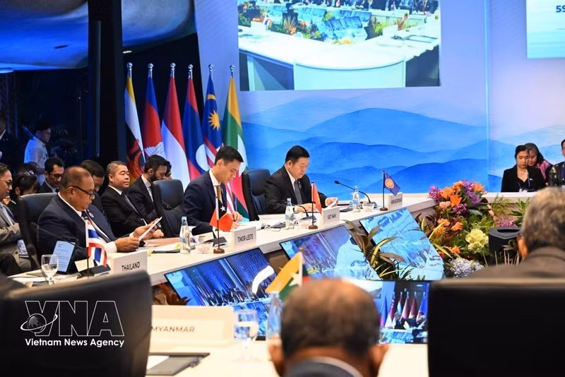 Le vice-ministre des Affaires étrangères, Dang Hoang Giang, à la séance plénière. Photo : VNA