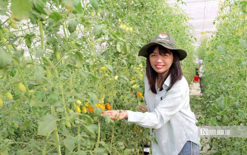 Yên Nhi et son amie sont venues dans le jardin de tomates de Tuân Anh pour prendre de belles photos. Photo : nguoiduatin.vn