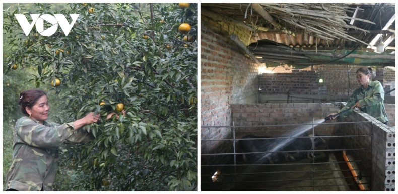 Grâce à l’agriculture et à l’élevage, la famille de Chung Thi Bun gagne environ 250 millions de dôngs par an. Photo : VOV. Grâce à l’agriculture et à l’élevage, la famille de Chung Thi Bun gagne environ 250 millions de dôngs par an. Photo : VOV.