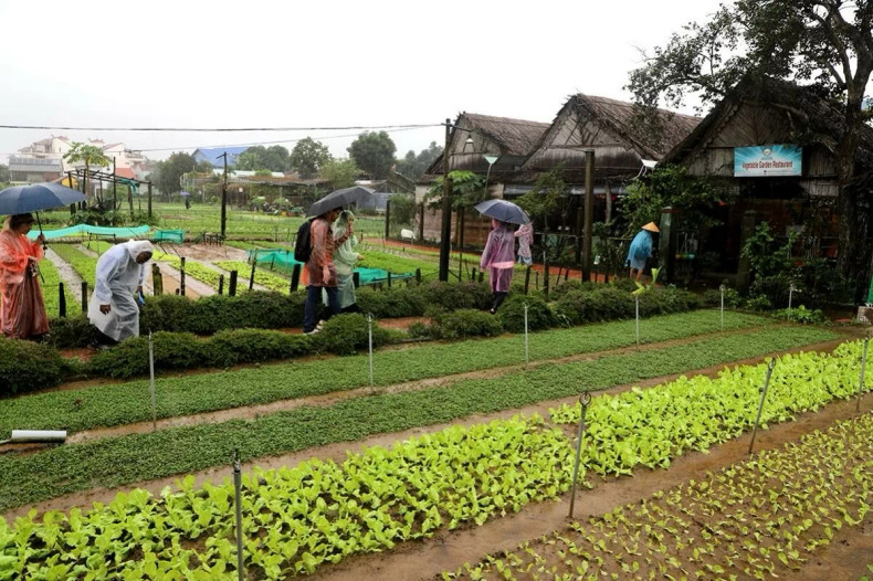 Les délégués visitent le village de légumes Trà Quê. Photo : TITC.