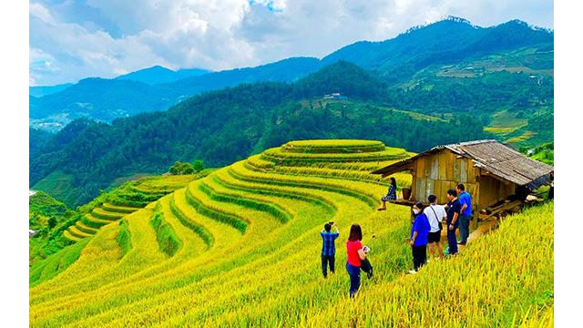 La beauté des rizières en terrasses aide Mù Cang Chai, province de Yên Bai à attirer les touristes. Photo : NDEL. La beauté des rizières en terrasses aide Mù Cang Chai, province de Yên Bai à attirer les touristes. Photo : NDEL.