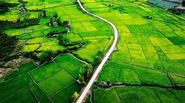 La plus belle période Dak Hà est en mars. Photo : Dô Dô/www.sgtiepthi.vn La plus belle période Dak Hà est en mars. Photo : Dô Dô/www.sgtiepthi.vn