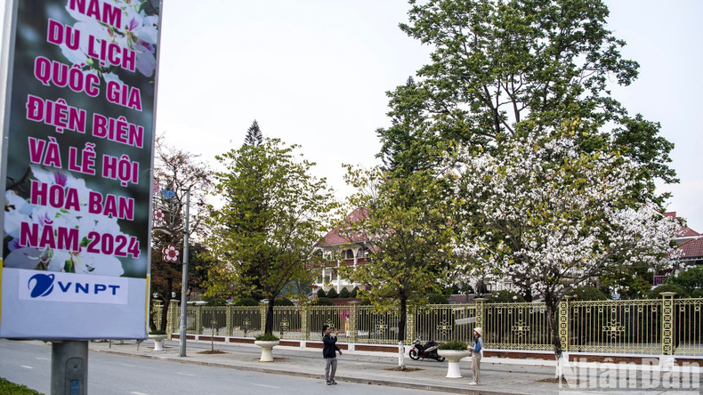 Le Festival des fleurs de bauhinie de 2024 aura lieu dans quelques jours. Les rues accueillent les visiteurs. Photo: Nhandan.vn Le Festival des fleurs de bauhinie de 2024 aura lieu dans quelques jours. Les rues accueillent les visiteurs. Photo: Nhandan.vn
