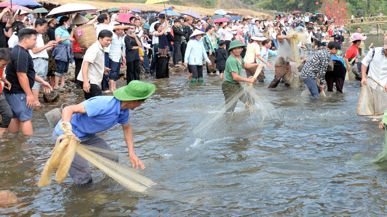 Le concours de capture de poissons en ruisseau attire l'attention de nombreux habitants et touristes. Photo : nhandan.vn