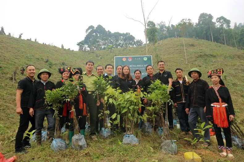 LuxGroup plante des arbres dans le cadre d’un projet de compensation des émissions de carbone au village de Vàng Ngân, commune de Suôi Quyên, province de Yên Bai. Photo: nhandan.vn LuxGroup plante des arbres dans le cadre d’un projet de compensation des émissions de carbone au village de Vàng Ngân, commune de Suôi Quyên, province de Yên Bai. Photo: nhandan.vn