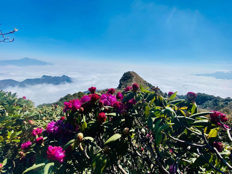 Des paysages naturels époustouflants et des nuages blancs flottant chaque saison de la « chasse aux nuages ». Photo: Laocaitourism.vn Des paysages naturels époustouflants et des nuages blancs flottant chaque saison de la « chasse aux nuages ». Photo: Laocaitourism.vn