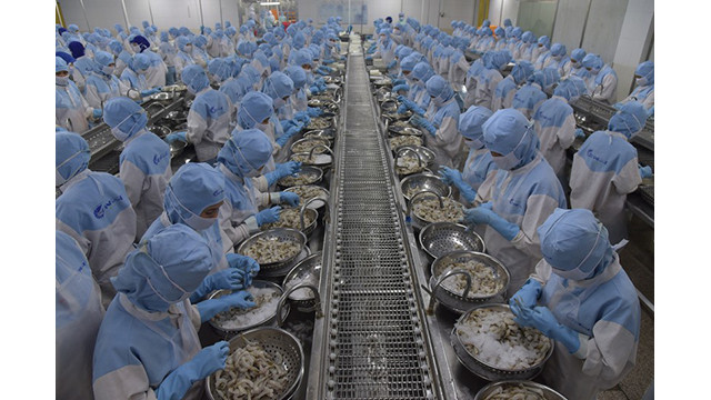 Le Vietnam compte 70 articles qu’il peut exporter vers Israël. Photo : congthuong.vn Le Vietnam compte 70 articles qu’il peut exporter vers Israël. Photo : congthuong.vn